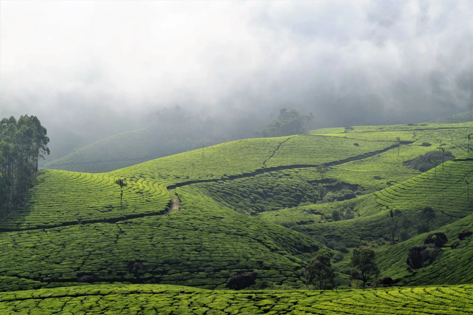 Kerala