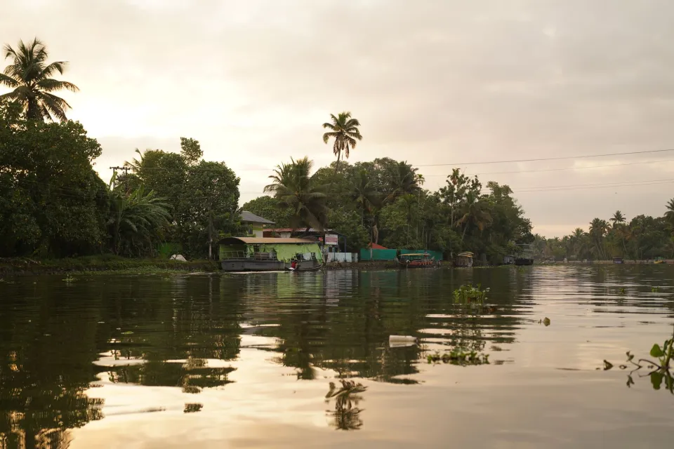 Backwaters at sunset