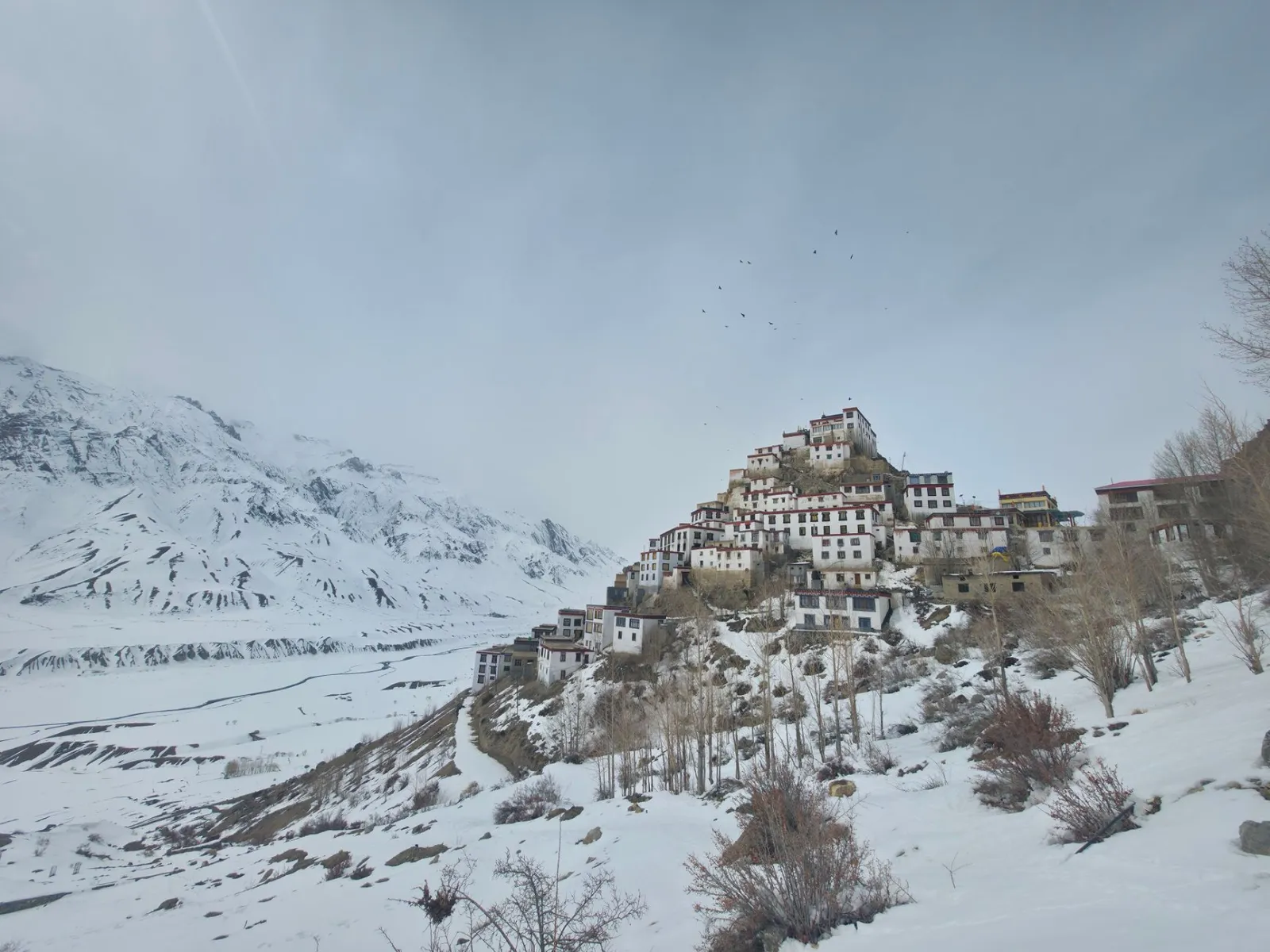 Key Monastery near Kaza, Spiti