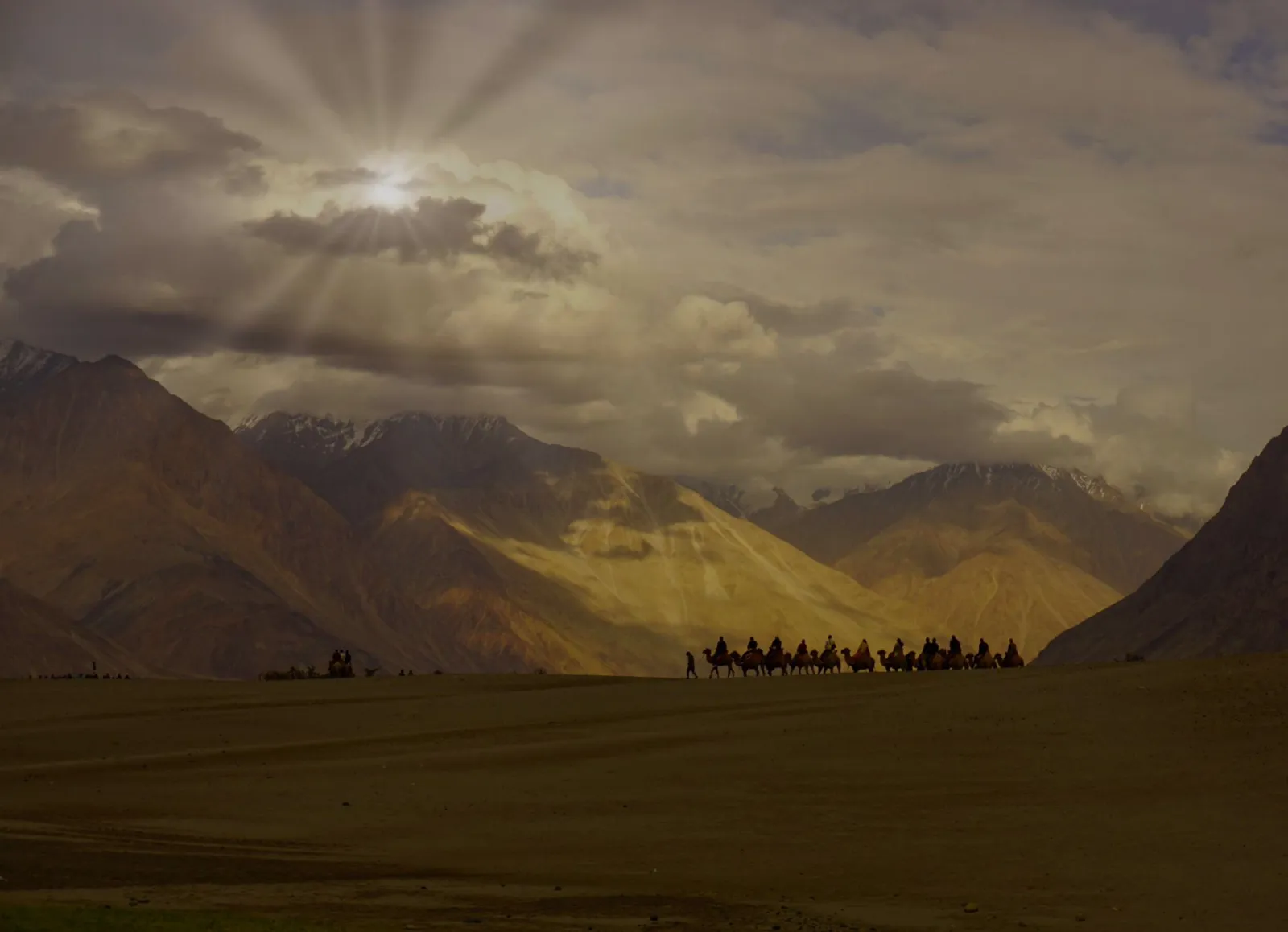 Camel caravan in Nubra Valley